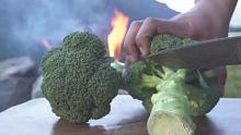 Fire Kitchen25