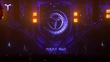 Purple Haze - TRANSMISSION PRAGUE 2017