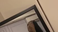 我也想做一个被人宠的小朋友