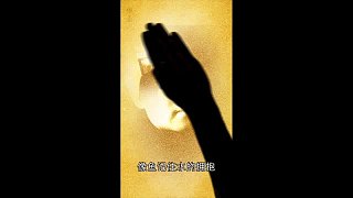 第一次虎牙
