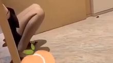 为什么不能看全部