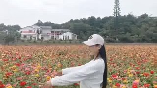 喜歡看你的微笑
