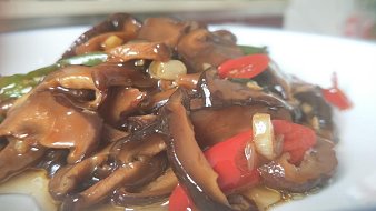 居安小農(nóng)戶外直播_居安小農(nóng)視頻直播 - 虎牙直播