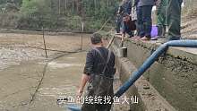 池塘抽干时抓了很多鲢鱼，如果天热的话我也想下去露一手