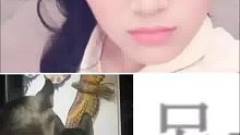 生活  应该是为了开心