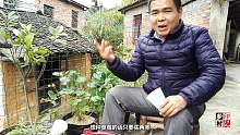 农村小伙只要一个简单的操作，1棵草莓苗秒变4棵，以后再也不用