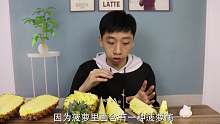 争议很大！菠萝和凤梨究竟是不是同一个东西？