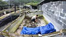 深山养冷水鱼，旧蛙池残破地形复杂，小伙网购“神器”一招解决