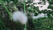 不开心的话看看风景放放松。