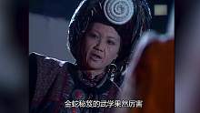 碧血剑1：夏雪宜独闯五毒教夺取金蛇剑，功成归来，对阵温家五老