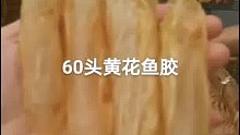 自家晒的60头黄花鱼胶