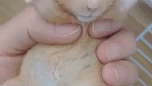 听说你到处跟人说我死了
