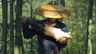 伍阿哥視頻直播_伍阿哥視頻視頻直播間_全集在線觀看_虎牙直播
