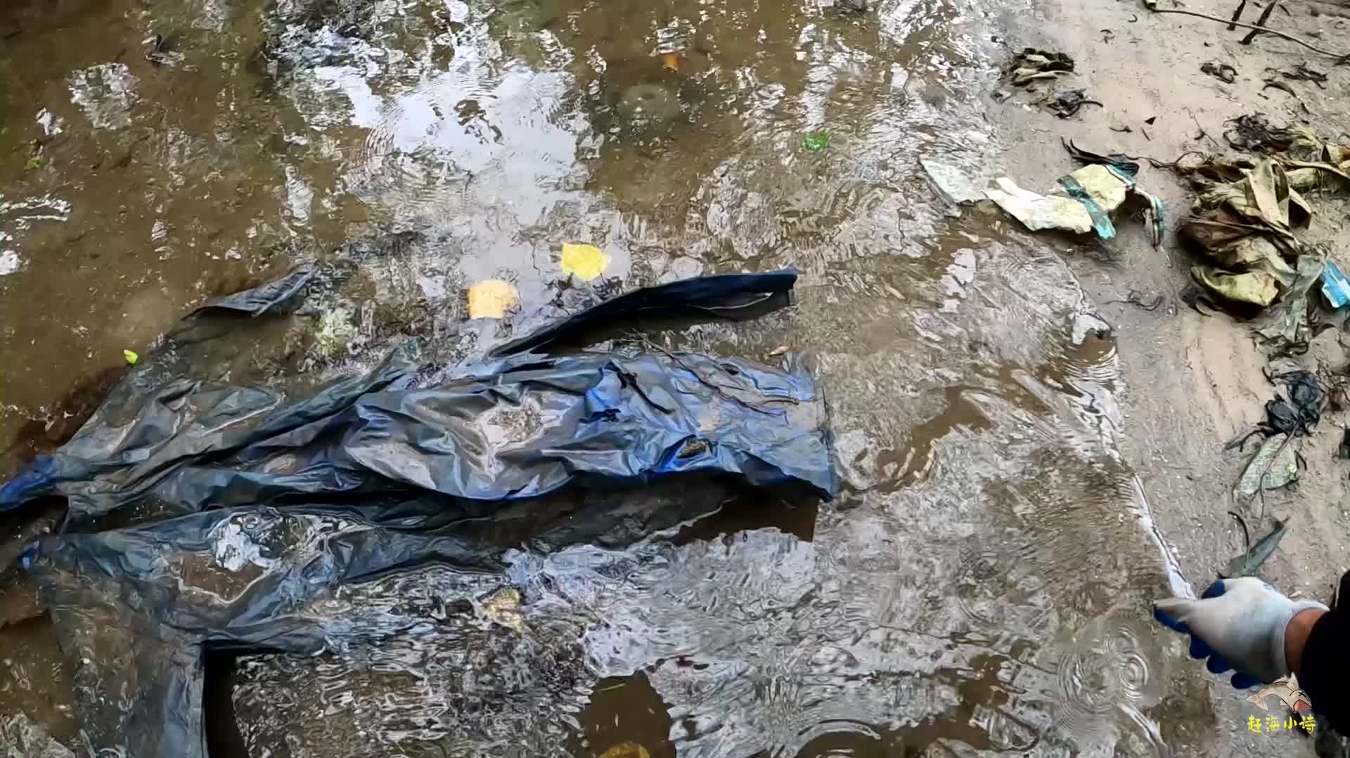 赶海意外闯入螃蟹窝，一路狂抓个个都很肥，实在是过瘾