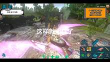 驯只高等级的狮鹫