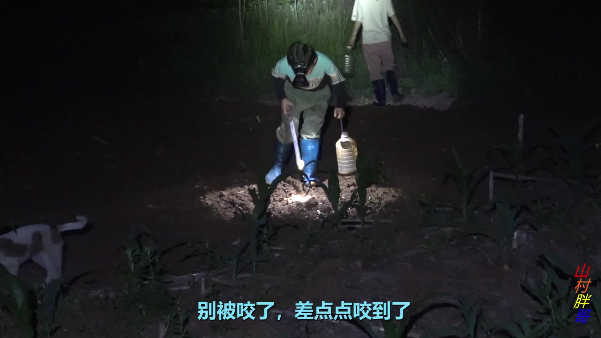 农村大哥水库放渔网，半小时后16条红尾破水而出，一切都值了