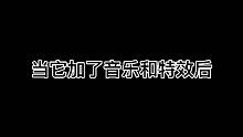 新人求关注