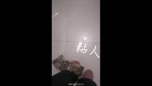 盘点我家狗成长日记