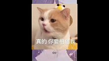 阿紫叫你起床