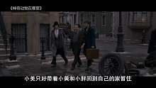 3分钟看完《神奇动物在哪里》！