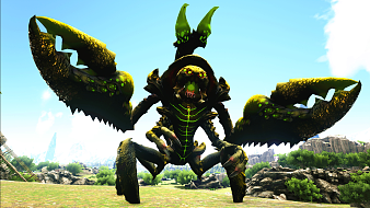 虾米的泪丶的直播