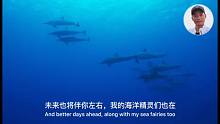 跟野龙一起为海洋发声