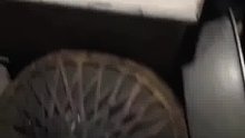 经历6个小时的美味粽子