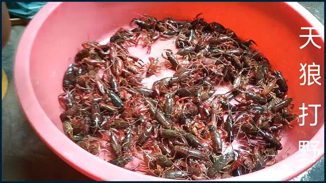 龙鳝,个半桶,巴适得板