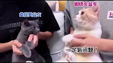 你们猜哪个是我