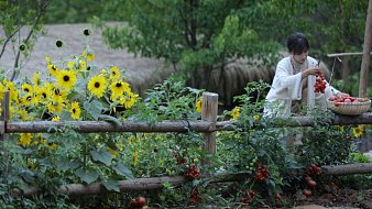 李子柒_李子柒直播美食視頻_李子柒美食視頻直播_虎牙直播