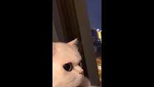 所以，爱会消失是吗？