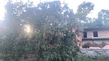 快来哟！好吃得不得了！