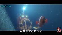 喜剧片：海底总动员