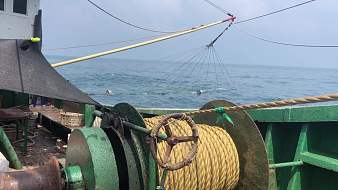 漁農(nóng)老張戶外直播_漁農(nóng)老張視頻直播 - 虎牙直播