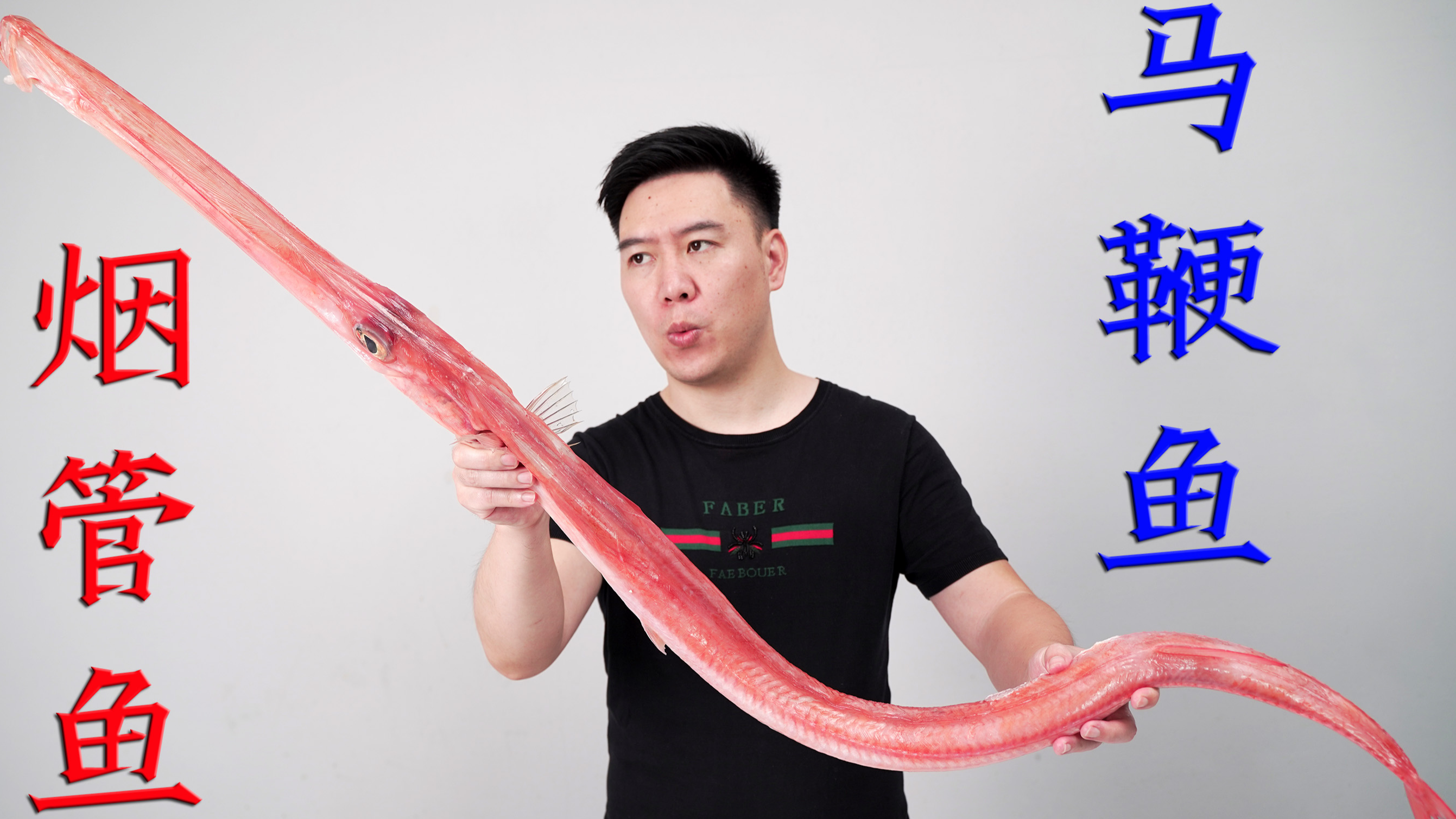 380买2条极少见的红烟管鱼，光嘴巴就330mm长，出锅后却翻车了【美食科普，珍惜粮食，拒绝浪费】