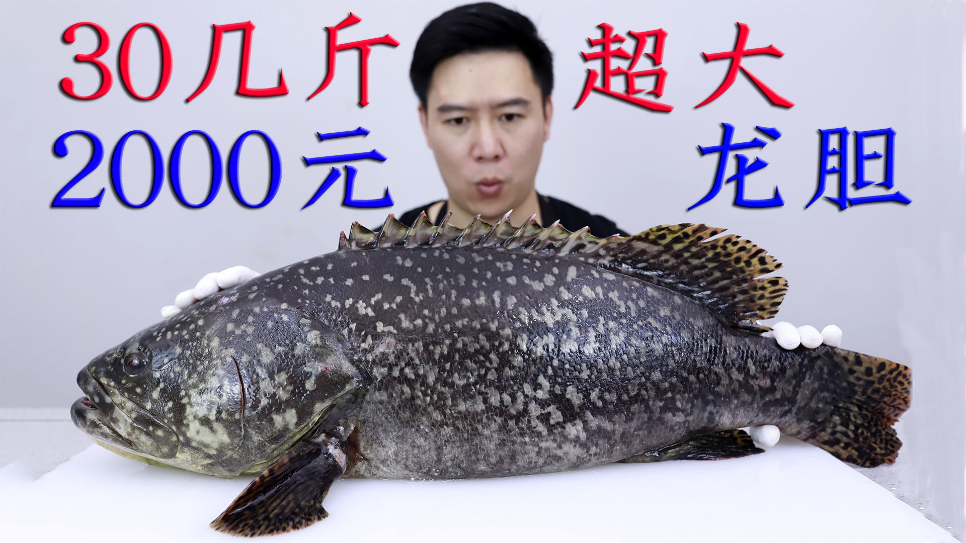 2030买一条全市场最大的珍珠龙胆石斑鱼，30几斤重