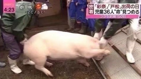 赛博朋克2077的世界