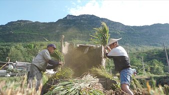 山藥視頻直播_山藥視頻視頻直播間_全集在線觀看_虎牙直播
