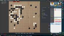 围棋：野狐5D自战解说