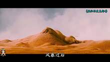 动作片：疯狂的麦克斯4