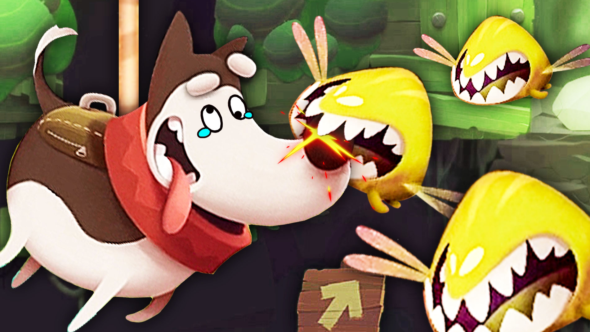 欢迎来到阿波兔吃灯的直播间