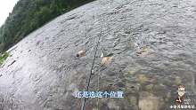 洪水过后溪滩钓鱼，本以为大概率空军，不料急流上猛一口，乐坏了
