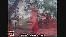 僵约2 40-41