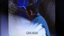 神雕侠侣09：孙婆婆为救杨过，与全真教大战，最后小龙女出现