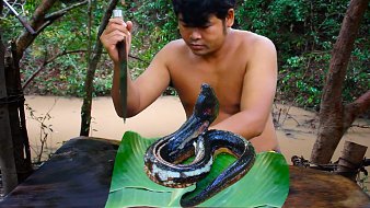 原始美食與生活戶外直播_原始美食與生活視頻直播 - 虎牙直播