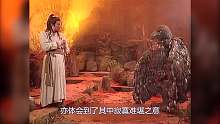 神雕侠侣26：杨过奇遇神雕，得到独孤求败秘籍，修炼绝世奇功！