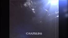 神雕侠侣40：杨过跳崖殉情，发现小龙女未死，两人在谷底重逢！