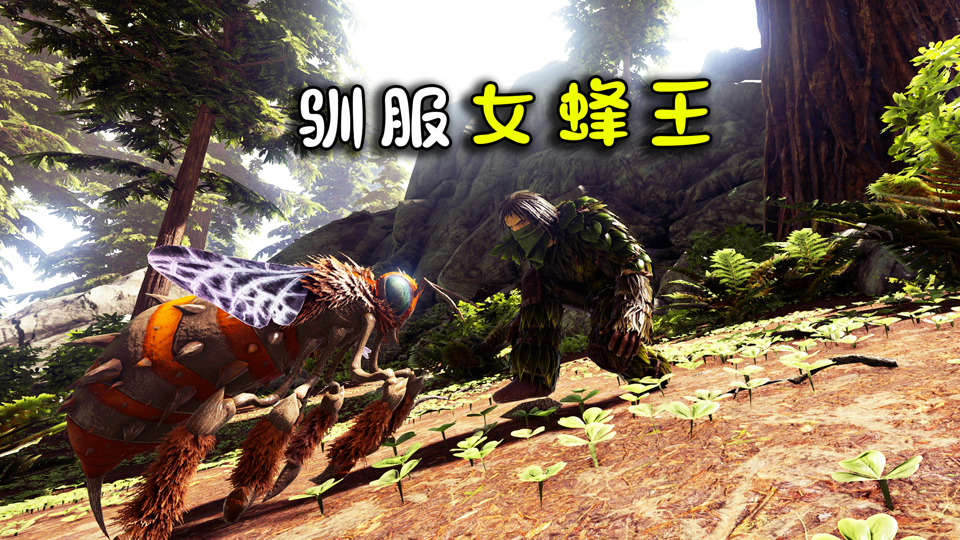 （二）恐龙岛大猎杀，你们这些糟老头子坏的很