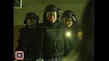 僵约3 11-12集