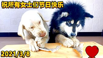 大壯和朵拉戶外直播_大壯和朵拉視頻直播 - 虎牙直播